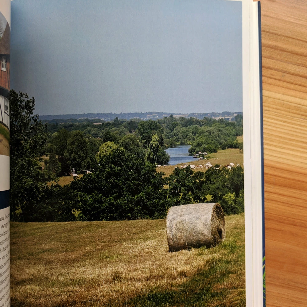 Wild Swimming Walks - Around London - Margaret Dickinson 6 Wild Swimming Walks - Around London - Margaret Dickinson - Image 4