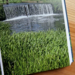 Wild Swimming Walks - Around London - Margaret Dickinson 11 Wild Swimming Walks - Around London - Margaret Dickinson -Brokedown Palace Shop Books WildSwimmingWalksAroundLondon 05