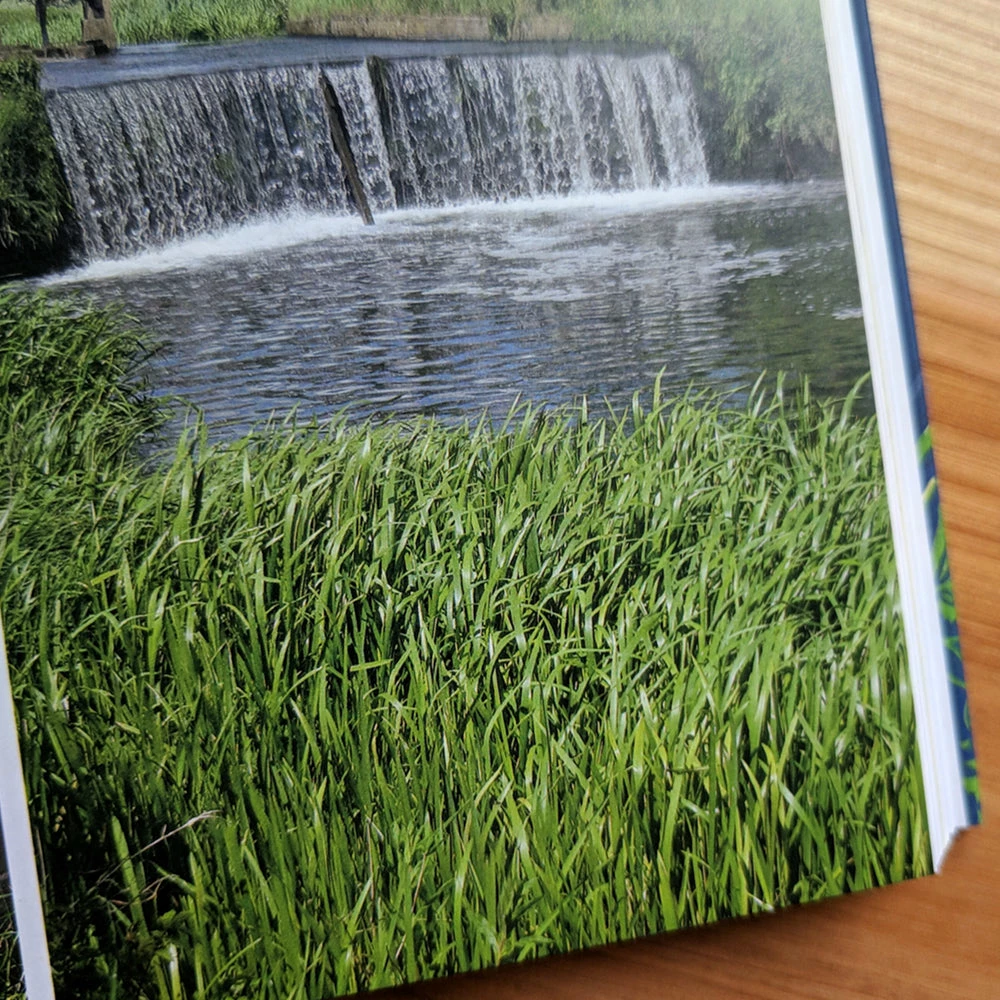 Wild Swimming Walks - Around London - Margaret Dickinson 7 Wild Swimming Walks - Around London - Margaret Dickinson - Image 5