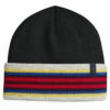 Pendleton National Park Stripe Beanie - Acadia