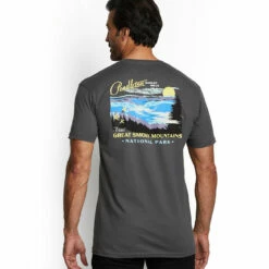 Pendleton Great Smokey Mountains Graphic Tee - Grey/Yellow -Brokedown Palace Shop Pendleton GraphicTee GreatSmokey 03